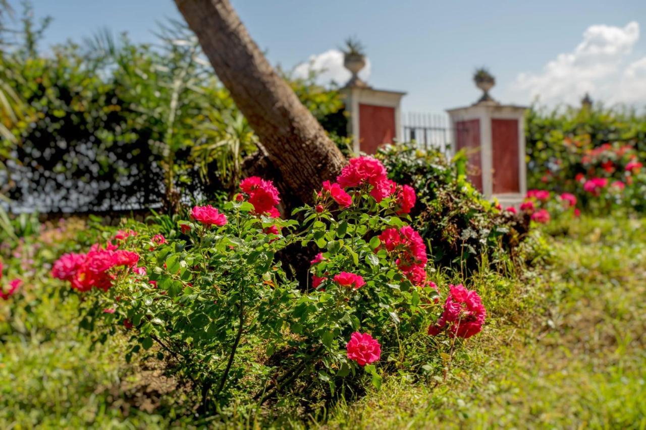 Bed and Breakfast Relais Al Castello Castellammare di Stabia Zewnętrze zdjęcie
